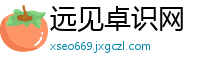 远见卓识网