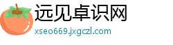 远见卓识网
